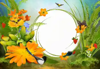 Fotografický efekt z kategorie Ženské fotorámečky № 142333