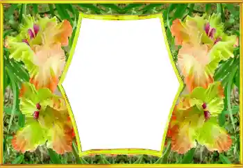 Fotografický efekt z kategorie Ženské fotorámečky № 143517