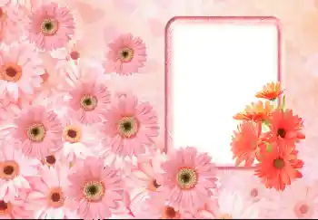 Fotografický efekt z kategorie Ženské fotorámečky № 143633