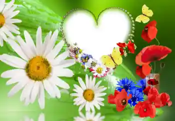 Fotografický efekt z kategorie Ženské fotorámečky № 143780