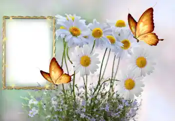 Fotografický efekt z kategorie Ženské fotorámečky № 145117