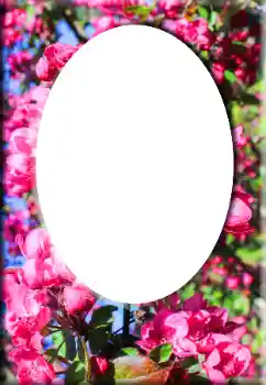 Fotografický efekt z kategorie Ženské fotorámečky № 147641