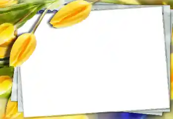 Fotografický efekt z kategorie Ženské fotorámečky № 150591