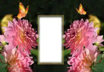 Fotografický efekt z kategorie Ženské fotorámečky № 150649