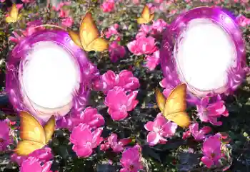 Fotografický efekt z kategorie Ženské fotorámečky № 151815