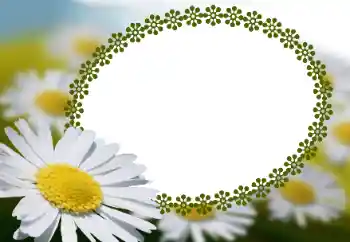 Fotografický efekt z kategorie Ženské fotorámečky № 152966