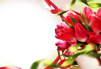 Fotografický efekt z kategorie Ženské fotorámečky № 153228