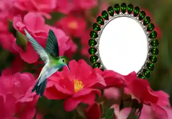 Fotografický efekt z kategorie Ženské fotorámečky № 154585