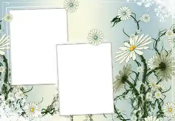 Fotografický efekt z kategorie Ženské fotorámečky № 154786