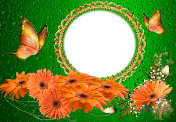 Fotografický efekt z kategorie Ženské fotorámečky № 155817