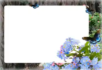 Fotografický efekt z kategorie Ženské fotorámečky № 155873