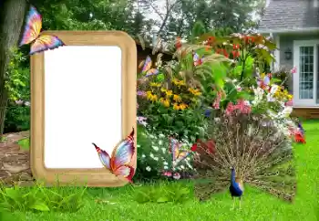 Fotografický efekt z kategorie Ženské fotorámečky № 155936