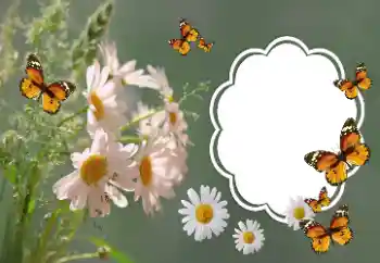 Fotografický efekt z kategorie Ženské fotorámečky № 157064