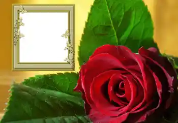 Fotografický efekt z kategorie Ženské fotorámečky № 157088