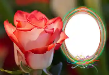 Fotografický efekt z kategorie Ženské fotorámečky № 157090