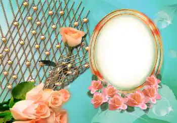 Fotografický efekt z kategorie Ženské fotorámečky № 157126