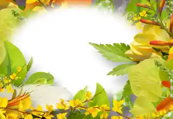 Fotografický efekt z kategorie Ženské fotorámečky № 158274