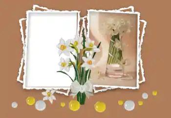 Fotografický efekt z kategorie Ženské fotorámečky № 158348