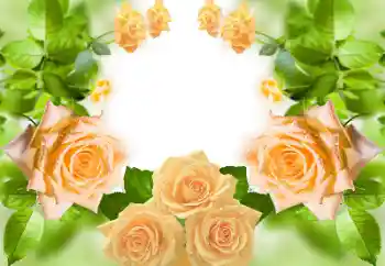 Fotografický efekt z kategorie Ženské fotorámečky № 158383