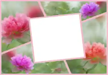 Fotografický efekt z kategorie Ženské fotorámečky № 160554