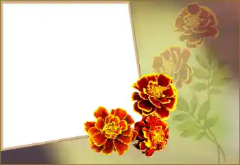 Fotografický efekt z kategorie Ženské fotorámečky № 160560