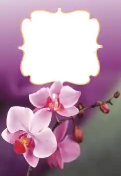 Fotografický efekt z kategorie Ženské fotorámečky № 160699