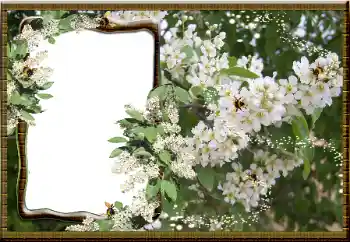 Fotografický efekt z kategorie Ženské fotorámečky № 16069 Fotografický efekt z kategorie Ženské fotorámečky № 16069