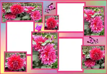 Fotografický efekt z kategorie Ženské fotorámečky № 162009