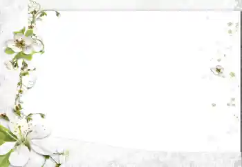 Fotografický efekt z kategorie Ženské fotorámečky № 163602