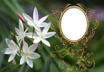 Fotografický efekt z kategorie Ženské fotorámečky № 164897