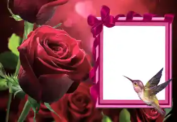 Fotografický efekt z kategorie Ženské fotorámečky № 166111