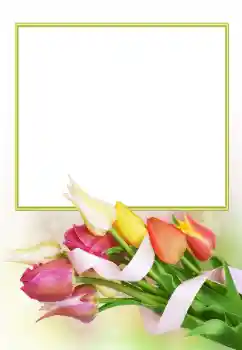 Fotografický efekt z kategorie Ženské fotorámečky № 166153