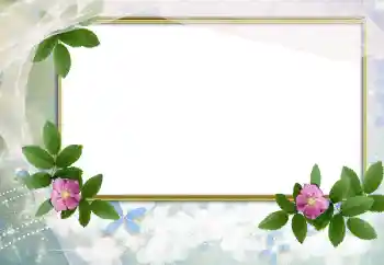 Fotografický efekt z kategorie Ženské fotorámečky № 166503