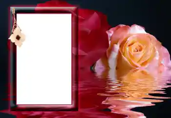 Fotografický efekt z kategorie Ženské fotorámečky № 166641