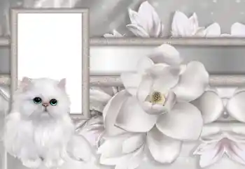 Fotografický efekt z kategorie Ženské fotorámečky № 167744