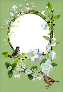 Fotografický efekt z kategorie Ženské fotorámečky № 167829