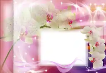 Fotografický efekt z kategorie Ženské fotorámečky № 167835