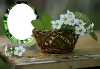 Fotografický efekt z kategorie Ženské fotorámečky № 167999