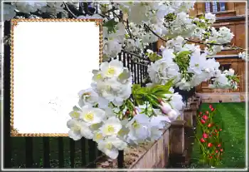 Fotografický efekt z kategorie Ženské fotorámečky № 169025