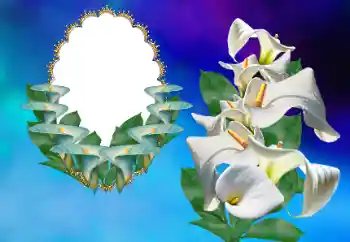 Fotografický efekt z kategorie Ženské fotorámečky № 169156