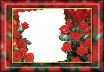 Fotografický efekt z kategorie Ženské fotorámečky № 169274