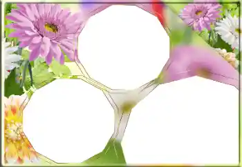 Fotografický efekt z kategorie Ženské fotorámečky № 170418