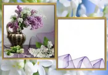 Fotografický efekt z kategorie Ženské fotorámečky № 170570