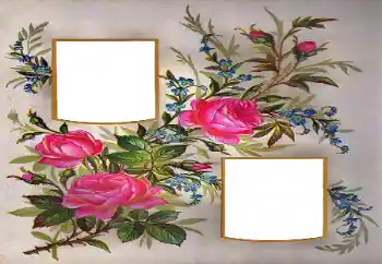 Fotografický efekt z kategorie Ženské fotorámečky № 171684