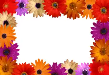 Fotografický efekt z kategorie Ženské fotorámečky № 172916