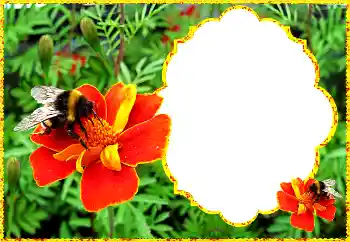 Fotografický efekt z kategorie Ženské fotorámečky № 172931