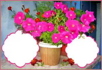 Fotografický efekt z kategorie Ženské fotorámečky № 172978