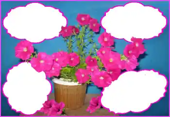 Fotografický efekt z kategorie Ženské fotorámečky № 172980