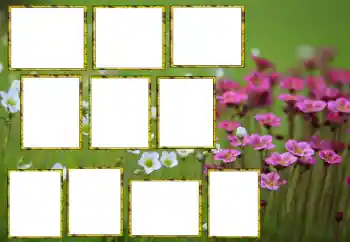 Fotografický efekt z kategorie Ženské fotorámečky № 174173