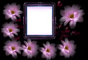 Fotografický efekt z kategorie Ženské fotorámečky № 175502